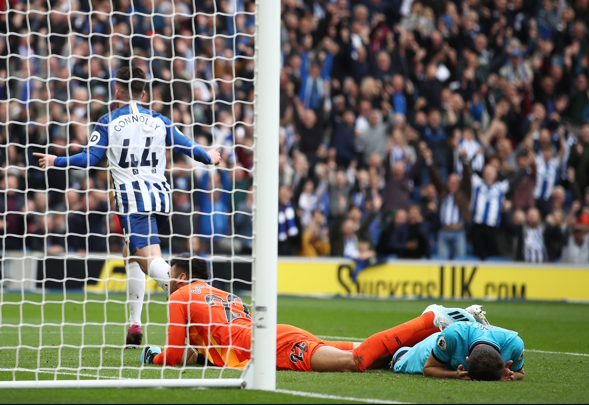 组织者高度 组织者高度